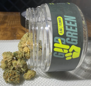 Honey Zanana (H) 3.5g Good Green