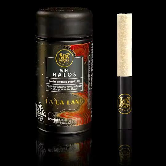 La La Land Mini Halos 5 Pack Maven Genetics La La Land Mini Halos 5 Pack Maven Genetics