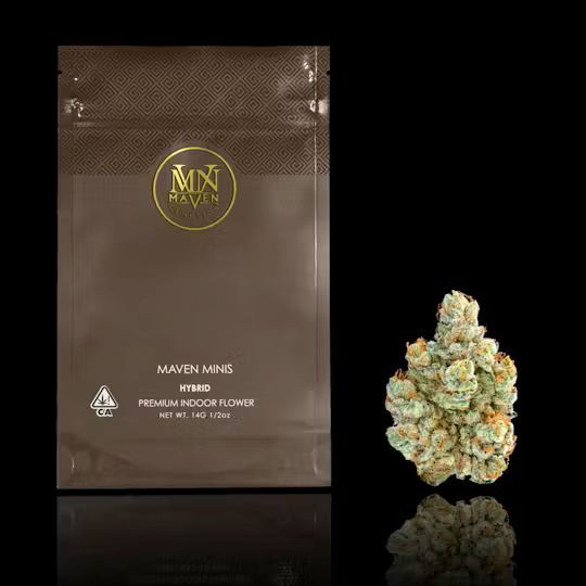 SFV OG Minis Maven Genetics