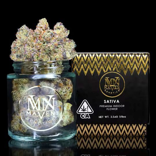 Pineapple Biscotti Maven Genetics
