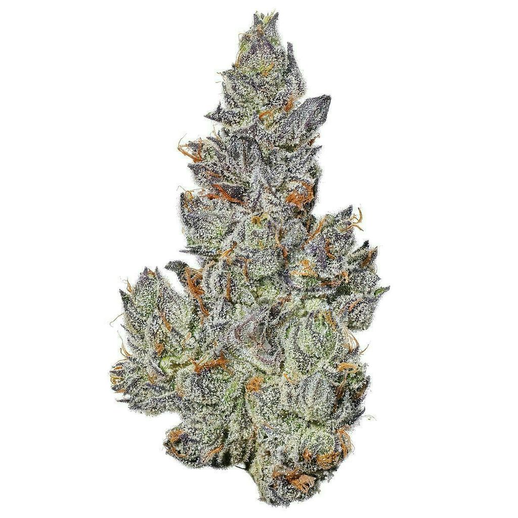 Blackberry Kush
