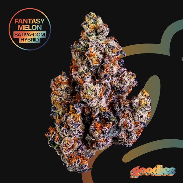 Fantasy Melon Goodies Fantasy Melon Goodies