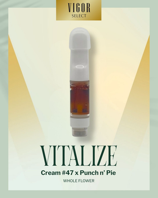 Cream #47 X Punch n Pie (WF) | FSO Vigor Select