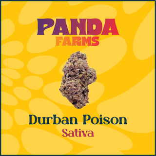 Durban Poison Glass Tipped Hemp Wrap Panda Farms