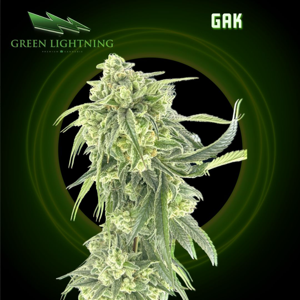 Gak