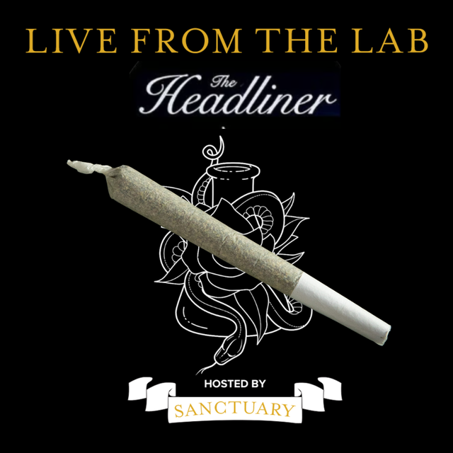 The Headliner
