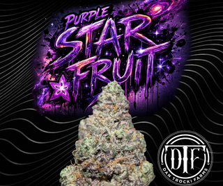 Purple Starfruit DTF