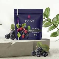 Blackberry  Habitat