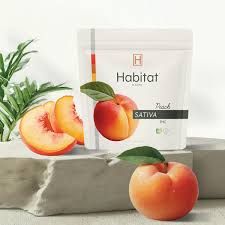 Peach Habitat by Klutch Peach Habitat by Klutch