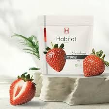 Strawberry Habitat by Klutch