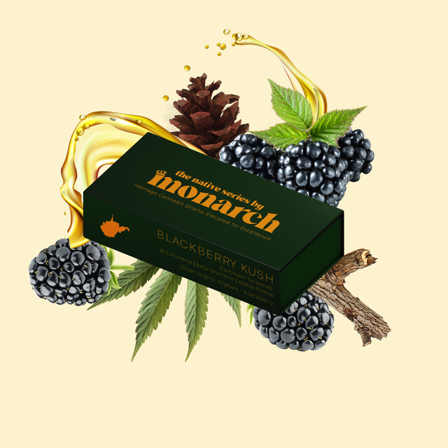 Blackberry Kush Monarch