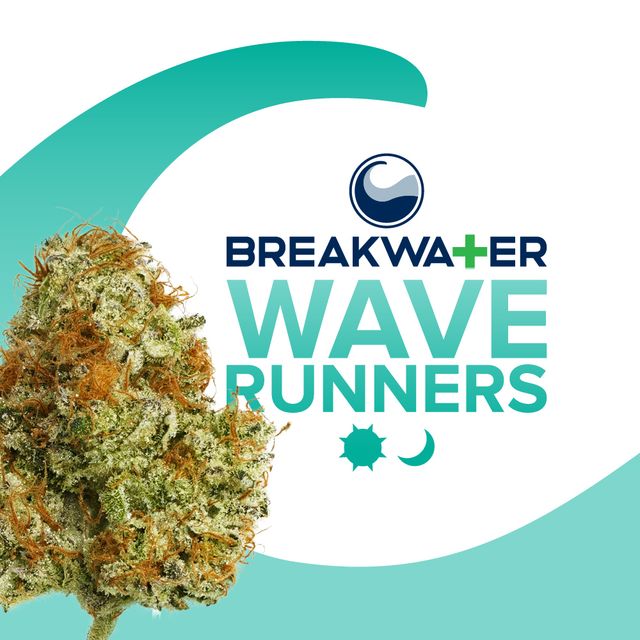 Wave Runners Breakwater