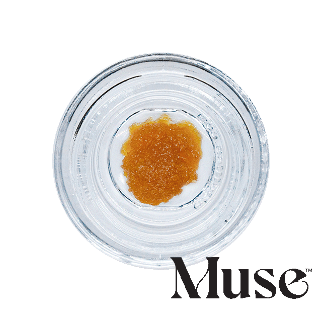 Mac N Cheese Muse