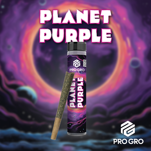 Planet Purple Pro Gro