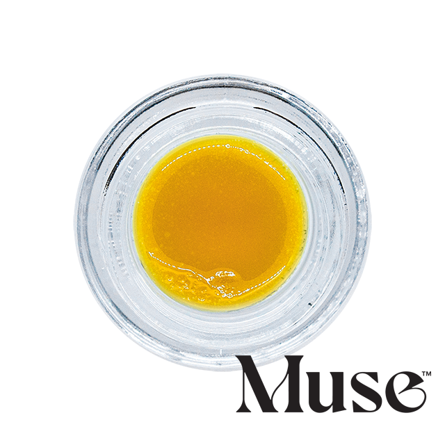 SSxKM Muse