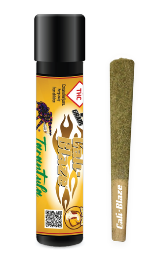 Tarantula Vanilla Lava Cake CALI BLAZE