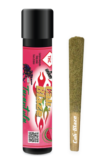 Tarantula Watermelon CALI BLAZE