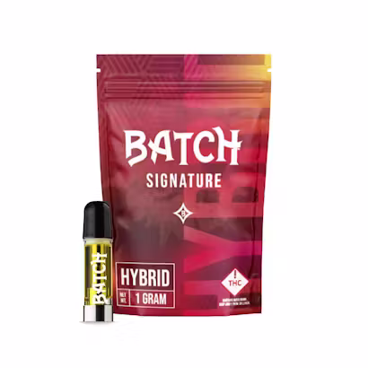 Hybrid Batch