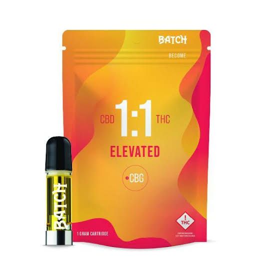 Become Elevated Batch