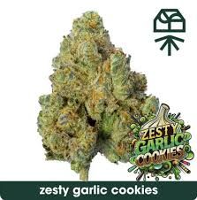 Zesty Garlic Cookies  Grassroots
