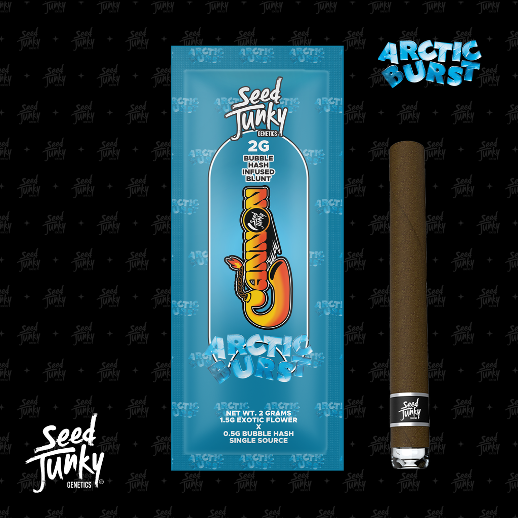 Arctic Burst