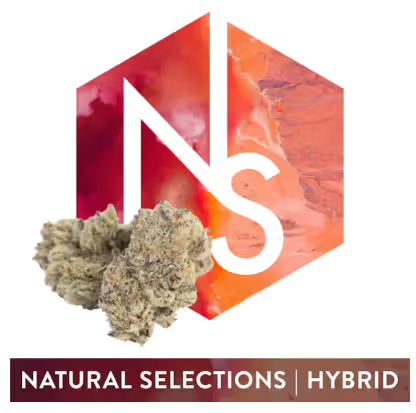 Intergalactic 3.5g Natural Selections