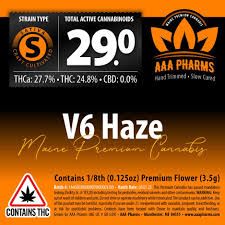 V6 Haze AAA Pharms