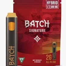 Hybrid Batch