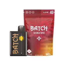 Hybrid Batch