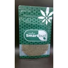 Headband Smartbud
