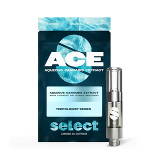 ACE Northern Lights 1G Select