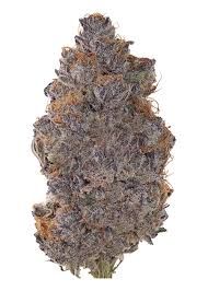 Blue Nerds HQ Farms
