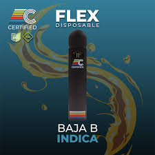 Baja B
