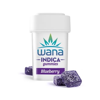Blueberry10pk