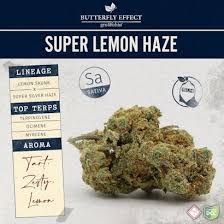 Super Lemon Haze Butterfly Effect