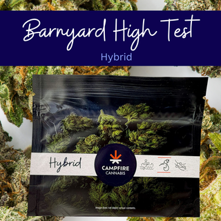 Barnyard High Test Campfire Cannabis