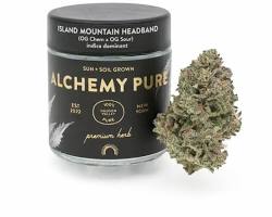 Alchemy Pure: Island Mountain Headband