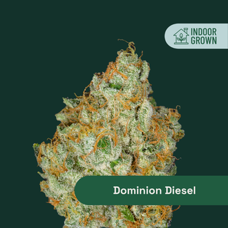 Dominion Diesel The Botanist