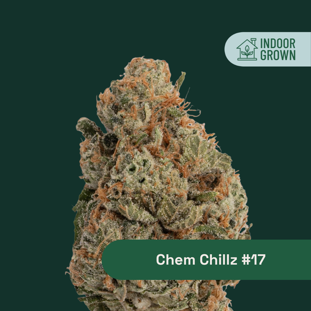 Chem Chillz #17 The Botanist