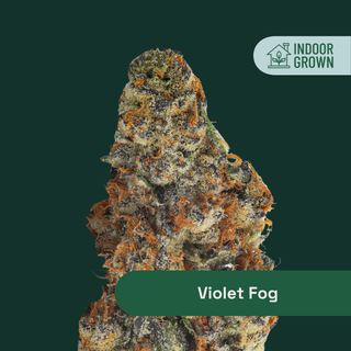 Violet Fog The Botanist