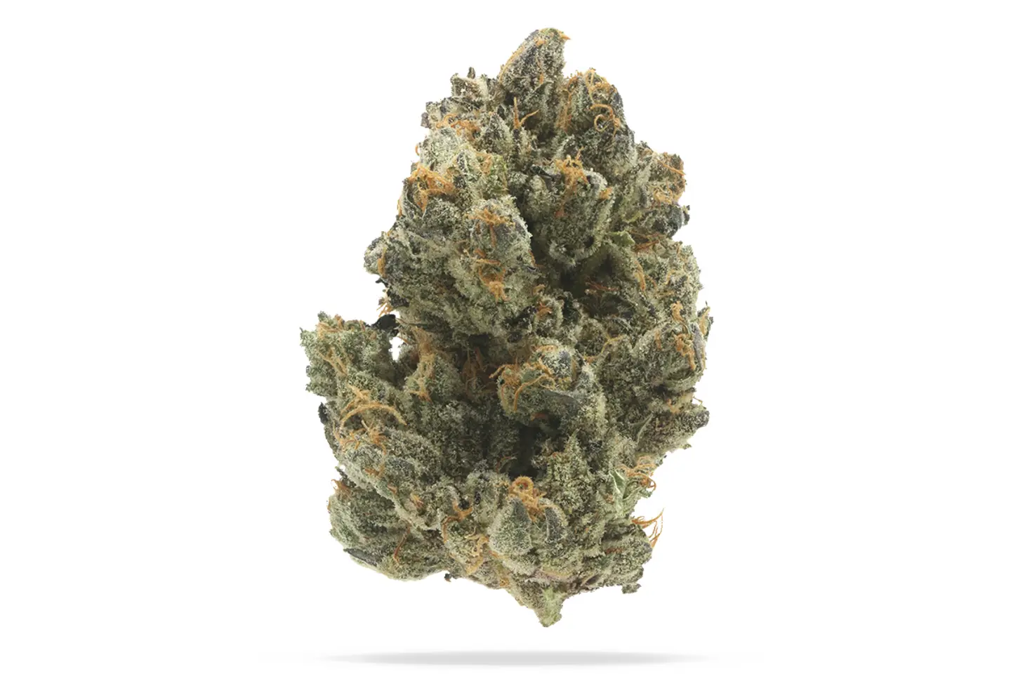 GG #4 710 LABS