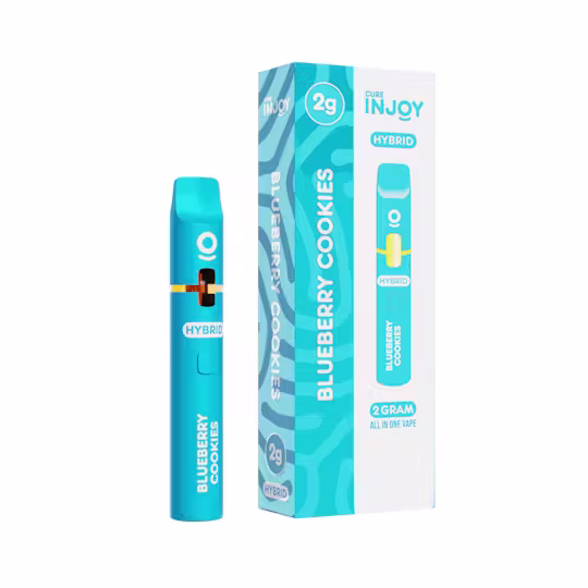 Blueberry Cookies Cure Injoy