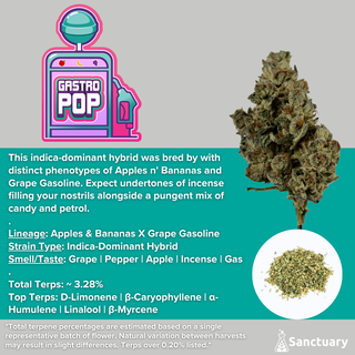 Gastro Pop Sanctuary