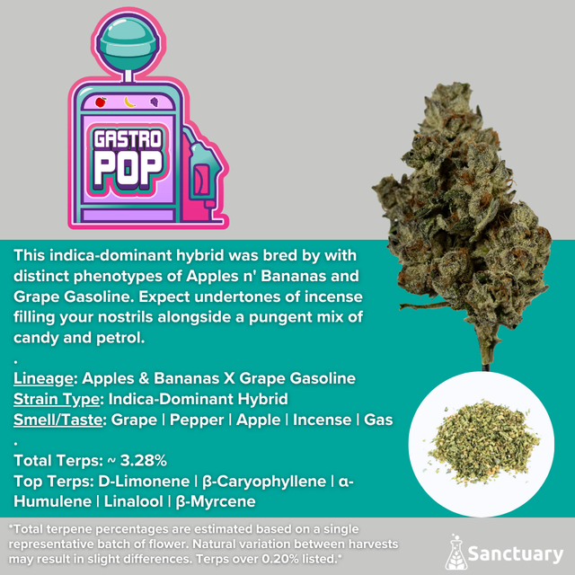 Gastro Pop Sanctuary