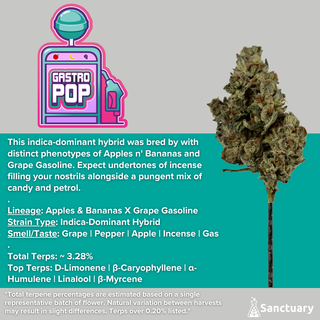 Gastro Pop Sanctuary