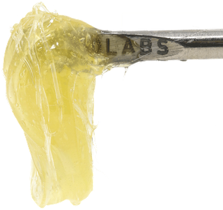 Rainbow Belts 710 LABS