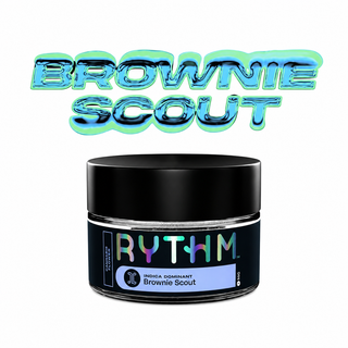 Brownie Scout  Rythm