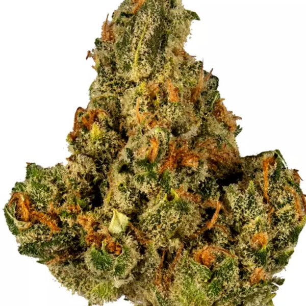Cookies & Dream Dolla Trees