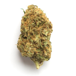 Lemon Poppers Dolla Trees
