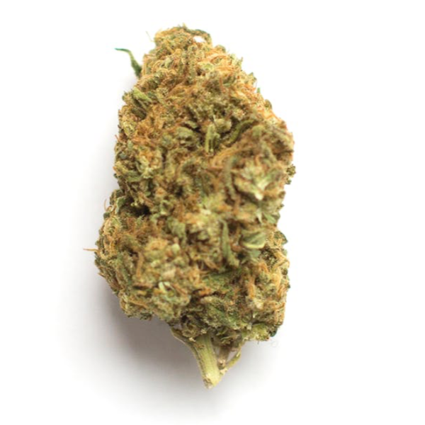 Lemon Poppers Dolla Trees Lemon Poppers Dolla Trees